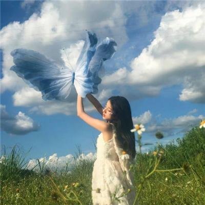 戏命师之飞天神兽
